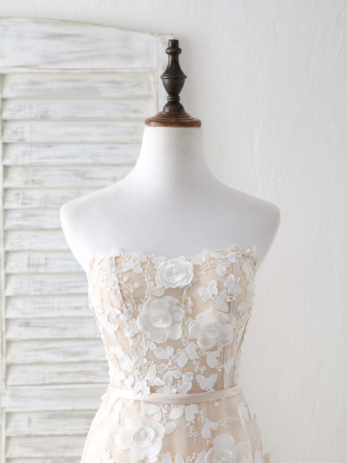Champagne Tulle Lace Applique Long Prom Dress Champagne Evening Dress