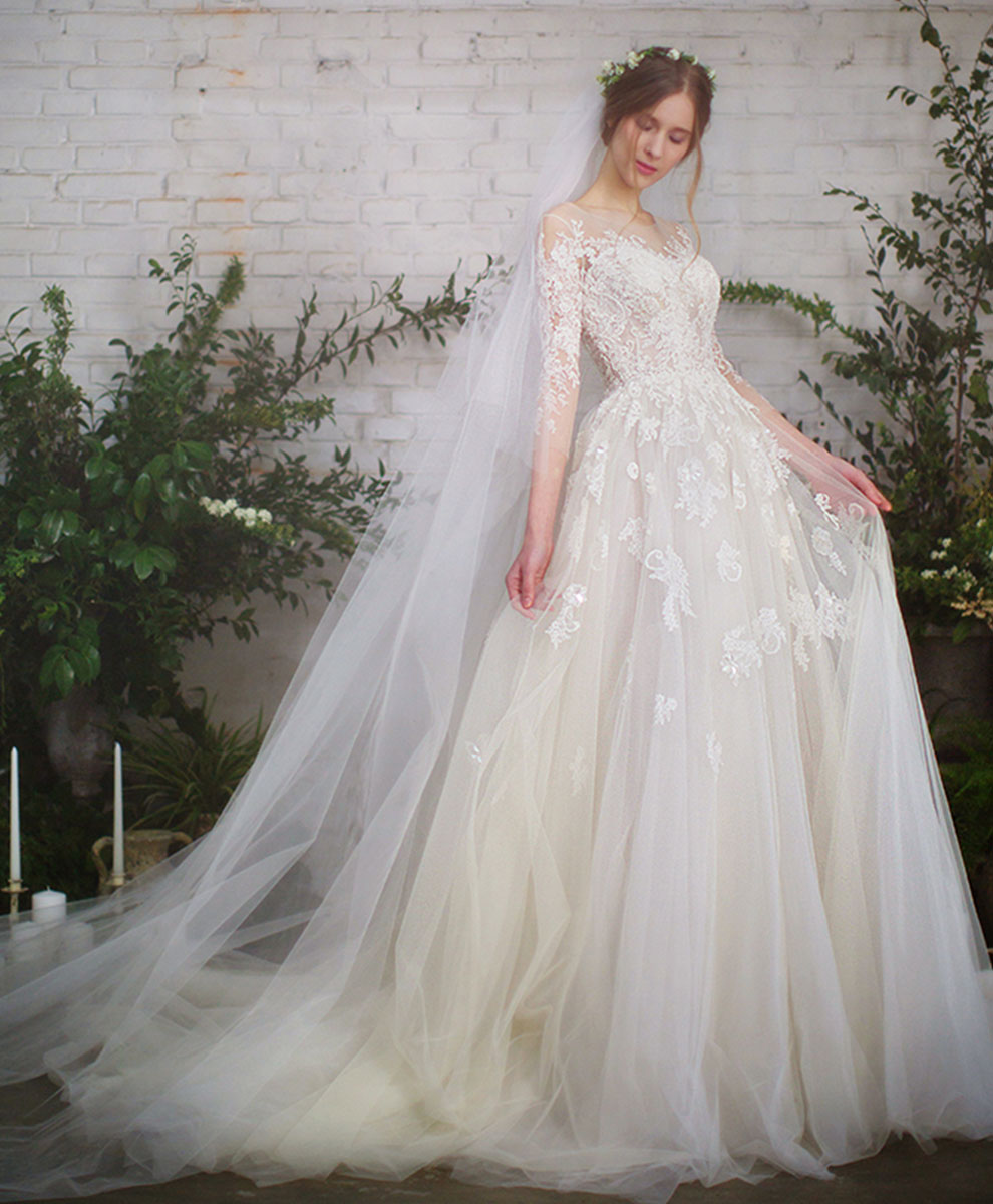 Light Champagne Tulle Lace Long Wedding Dress Lace Wedding Gown