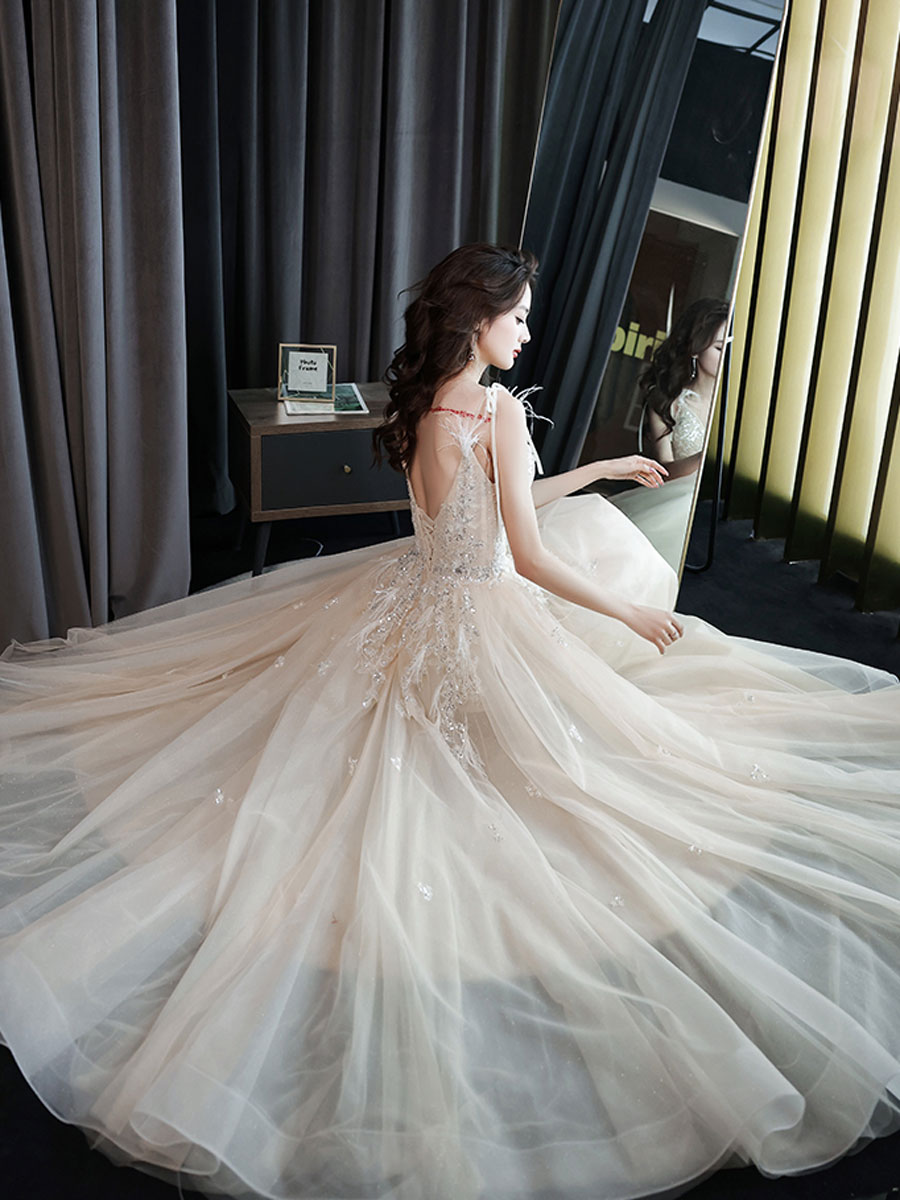 Champagne V Neck Tulle Sequin Lace Long Prom Dress, Champagne Evening Dress