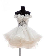 Mini Tulle Lace Short Prom Dress, Lace Cute Homecoming Dress