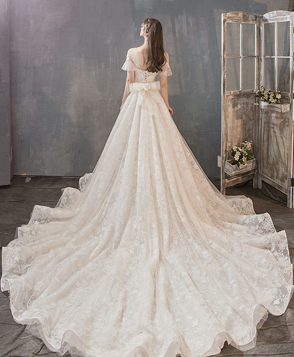 Light Champagne Tulle Lace Long Wedding Dress, Lace Bridal Dress