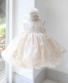 Champagne Tulle Lace Baby Dress Champagne Flower Girl Dress