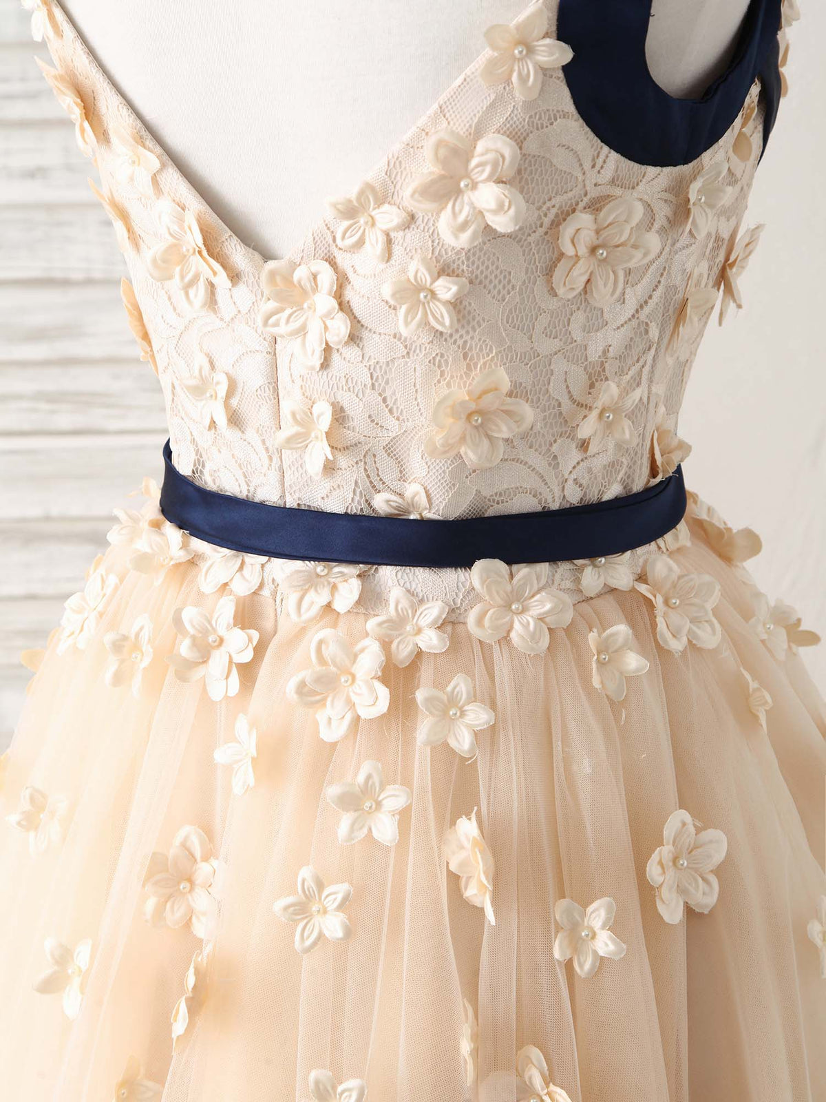 A-Line Champagne Lace Tulle Long Prom Dress, Champagne Evening