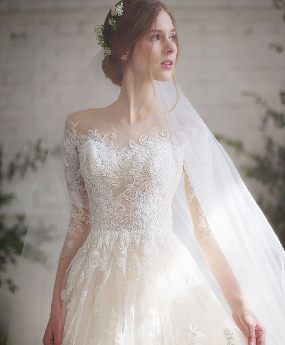 Light Champagne Tulle Lace Long Wedding Dress Lace Wedding Gown