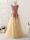 Champagne Tulle Long Prom Dress Lace Applique Evening Dress