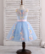 Blue Round Neck Tulle Lace Applique Flower Girl Dress