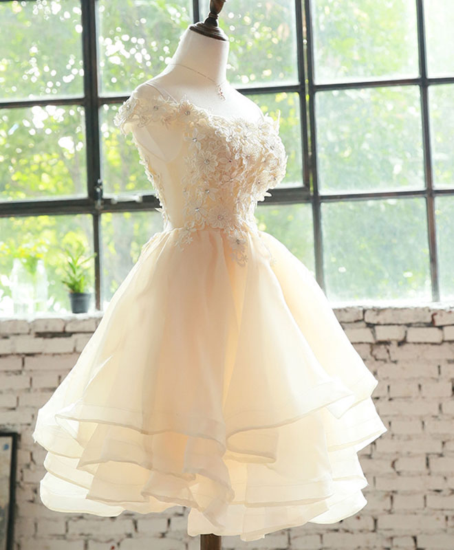 Champagne Lace Tulle Short Prom Dress, Homecoming Dress – shopluu