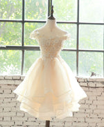 Champagne Lace Tulle Short Prom Dress, Homecoming Dress